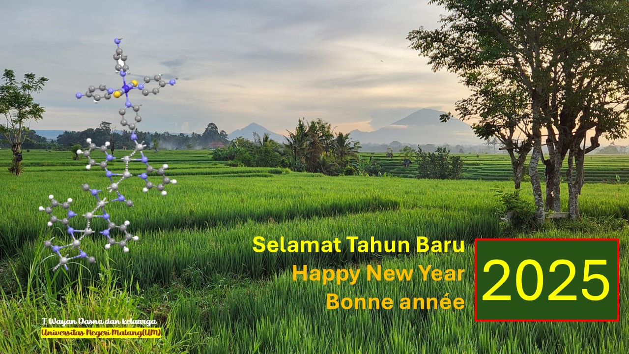 Selamat Tahun Baru 2025
